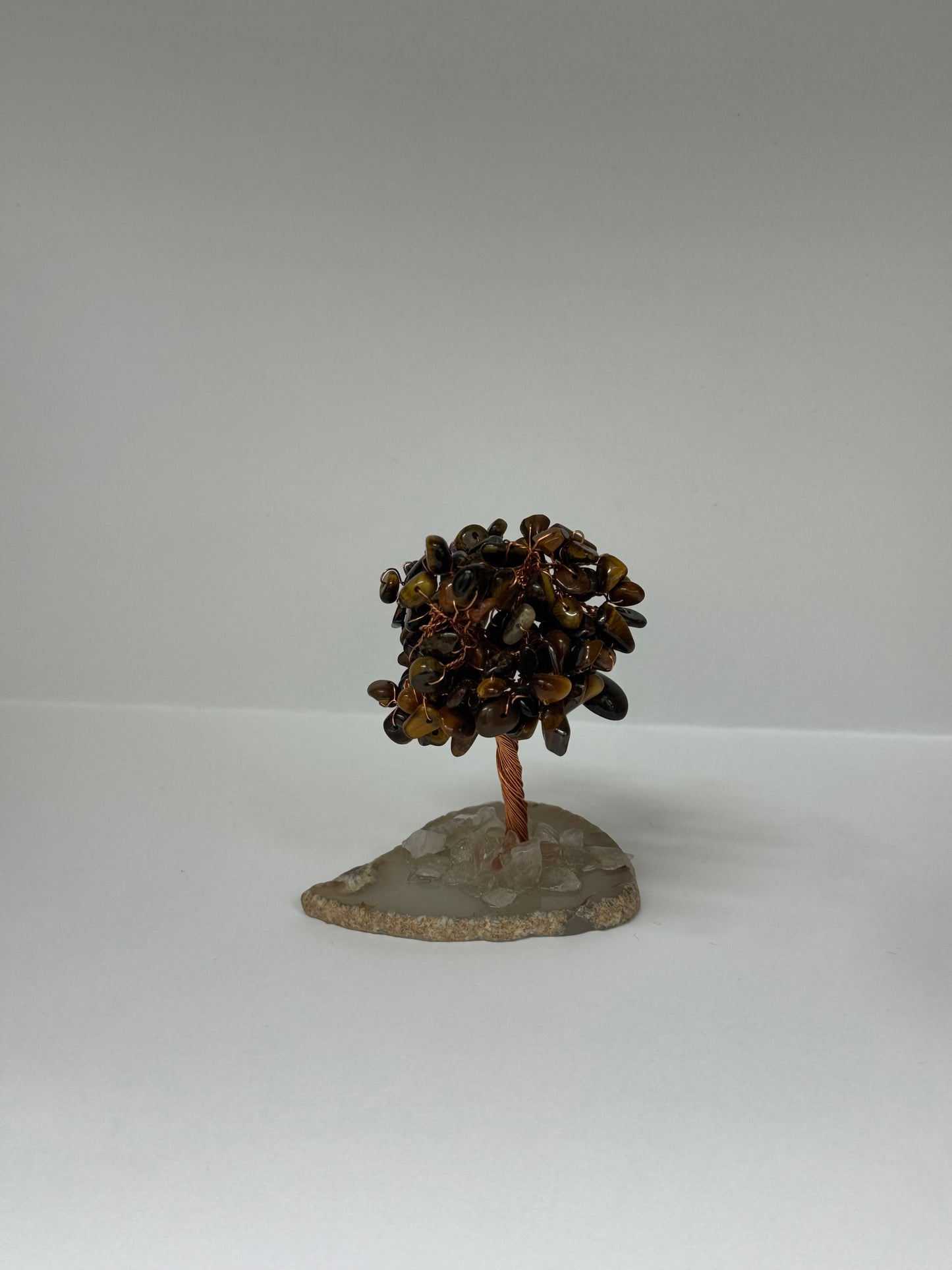 Arbre de Force – Œil de Tigre