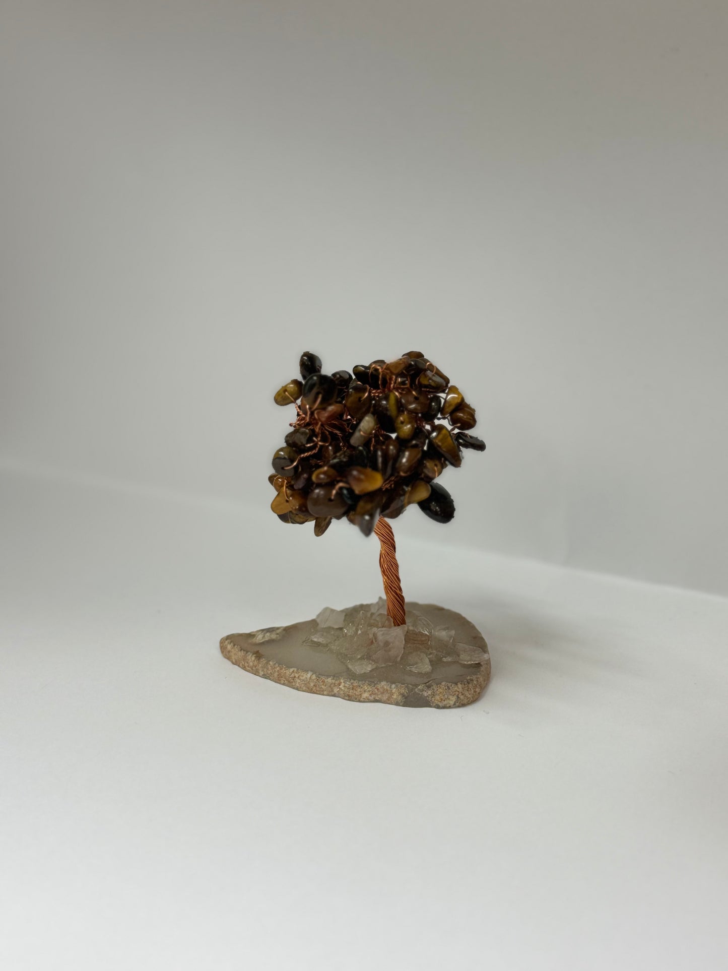Arbre de Force – Œil de Tigre