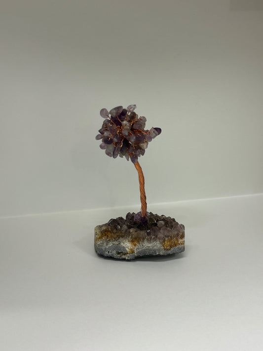 Arbre d’Éveil – Améthyste