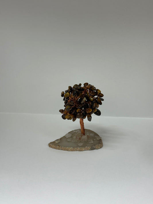 Arbre de Force – Œil de Tigre