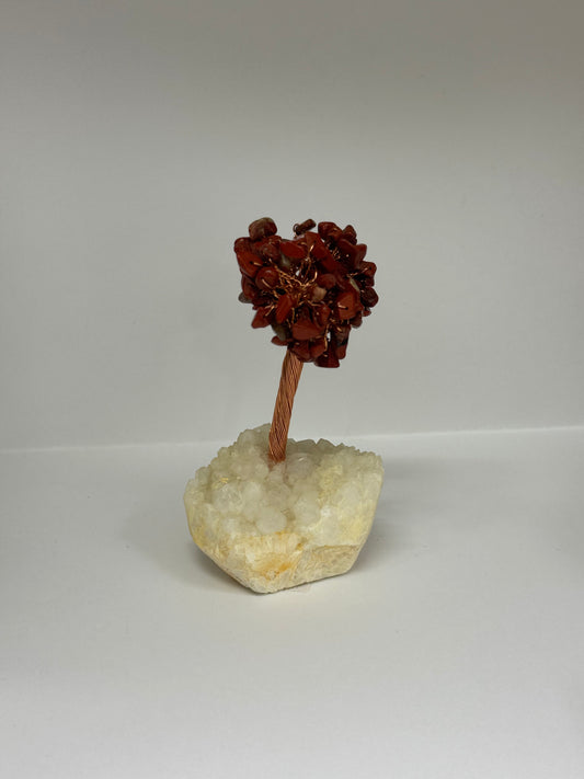 Arbre de Feu – Jaspe Rouge