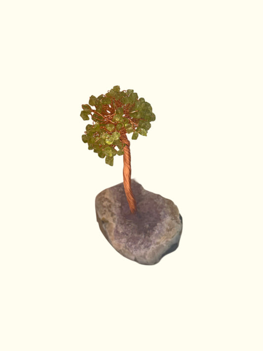 Arbre Lumière – Péridot